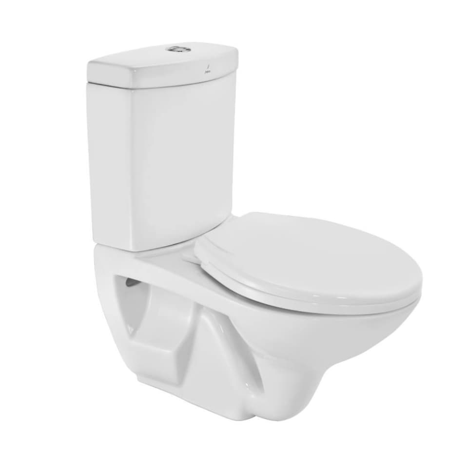 Bowl with Cistern for Extended Wall Hung WC surface detail 1