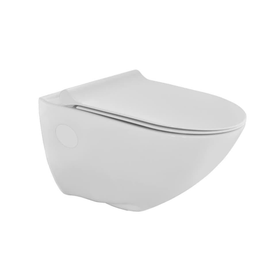 Rimless Wall Hung WC surface detail 1