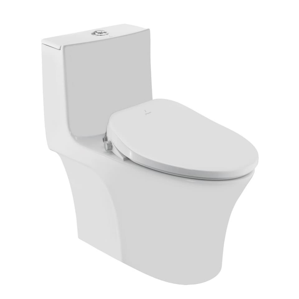 Bidspa Rimless Single Piece WC surface detail 1