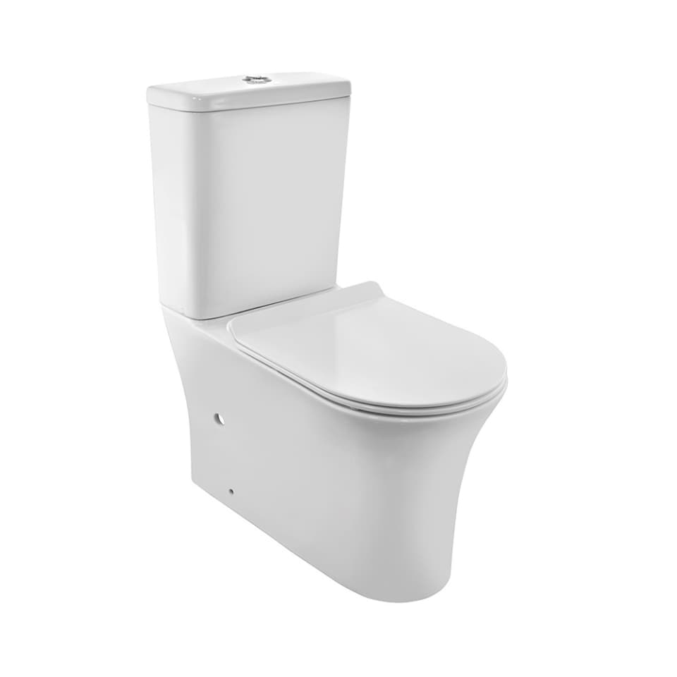 Rimless Bowl With Cistern For Coupled WC surface detail 1