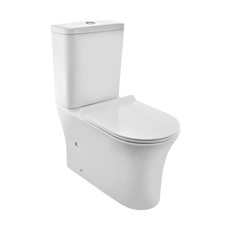 Rimless Bowl With Cistern For Coupled WC surface detail 1