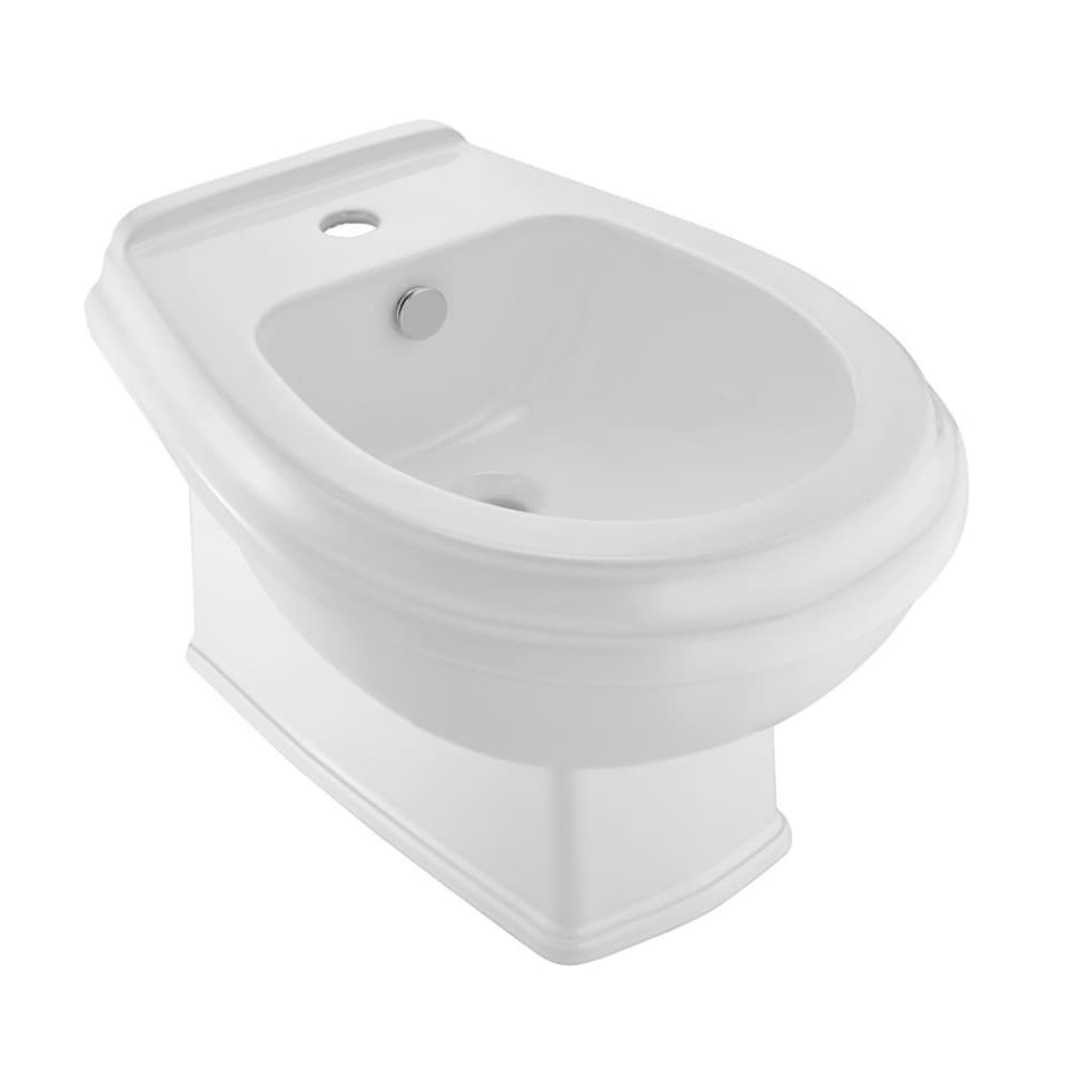 Wall Hung Bidet surface detail 1