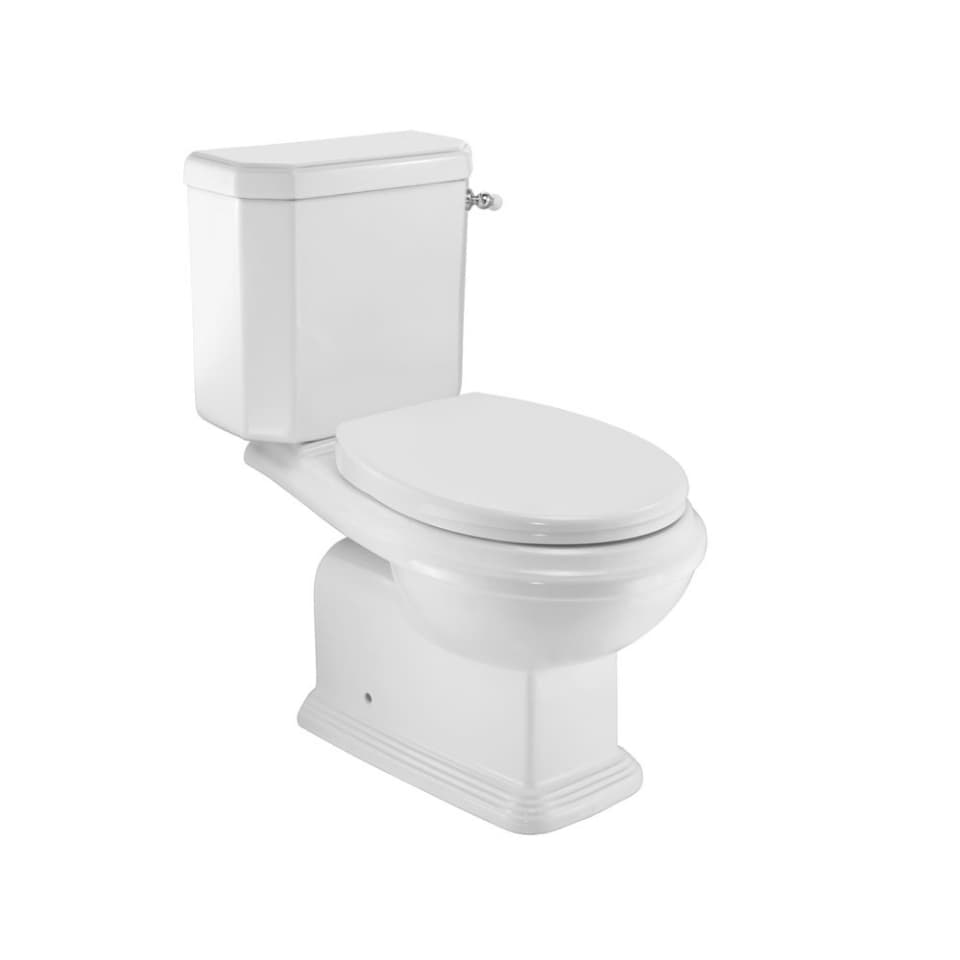 Rimless Bowl with Side Flush Cistern surface detail 1