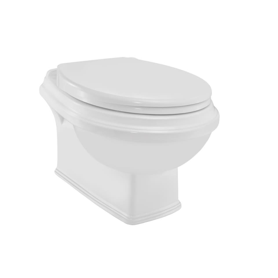 Rimless Wall Hung WC surface detail 1