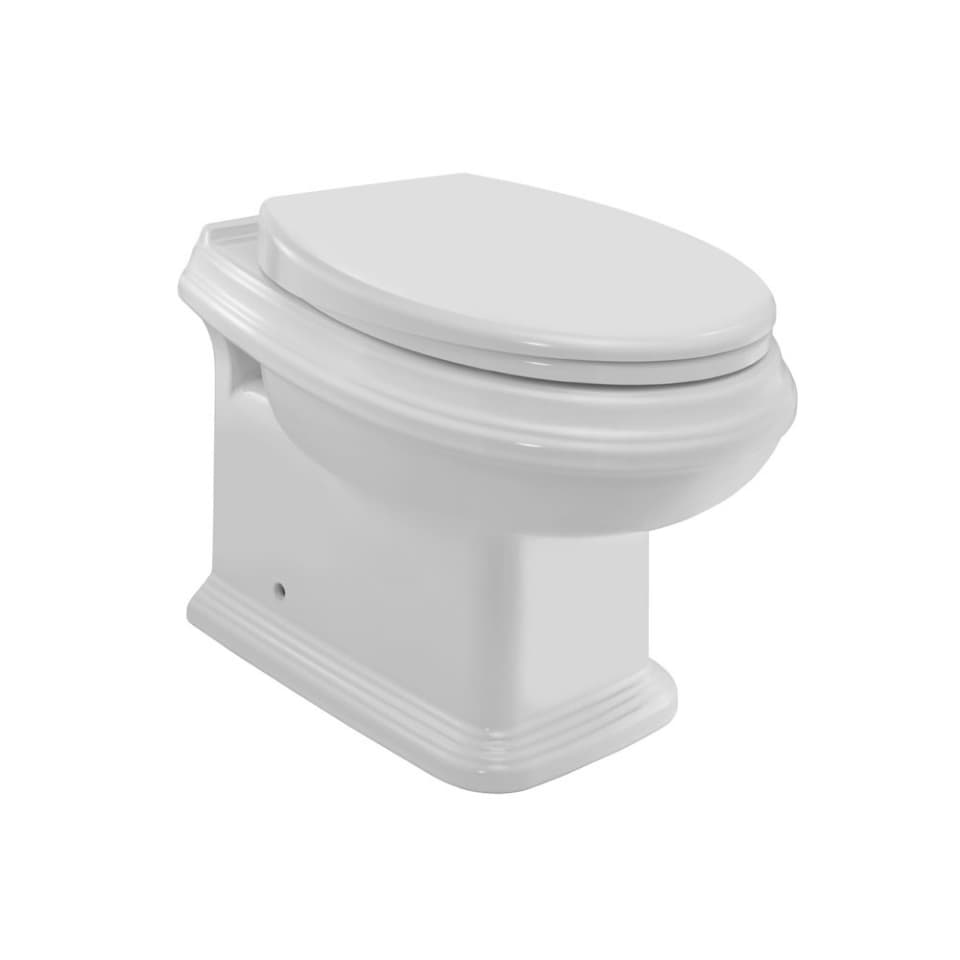 Rimless Back To Wall WC surface detail 1