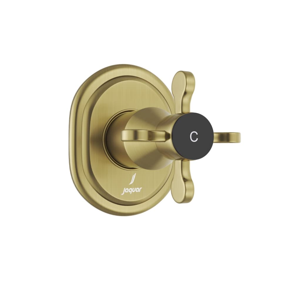 Exposed Part Kit of Concealed Stop Cock Cold Only - Antique Bronze surface detail 1