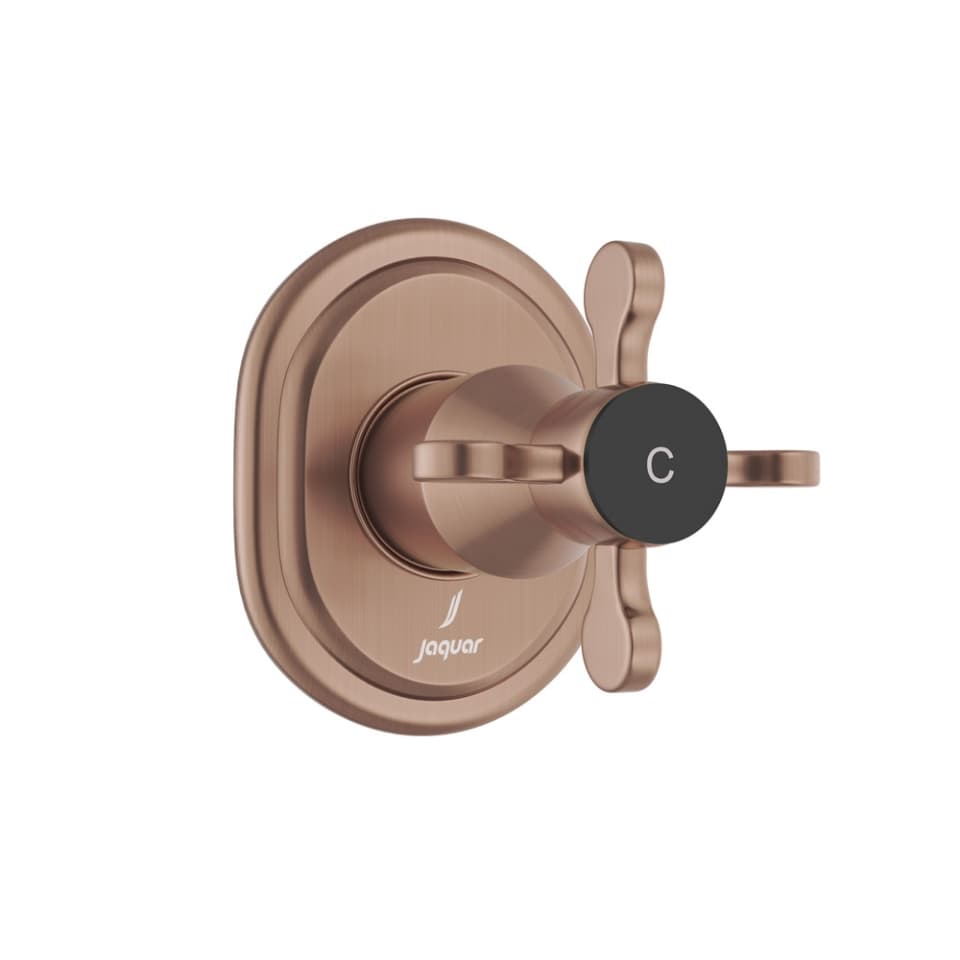Exposed Part Kit of Concealed Stop Cock Cold Only - Antique Copper surface detail 1