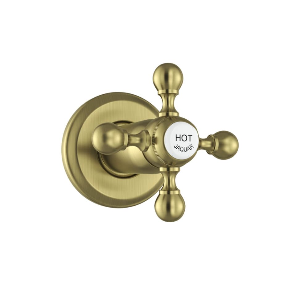 Exposed Part Kit of Concealed Stop Cock - Antique Bronze surface detail 1