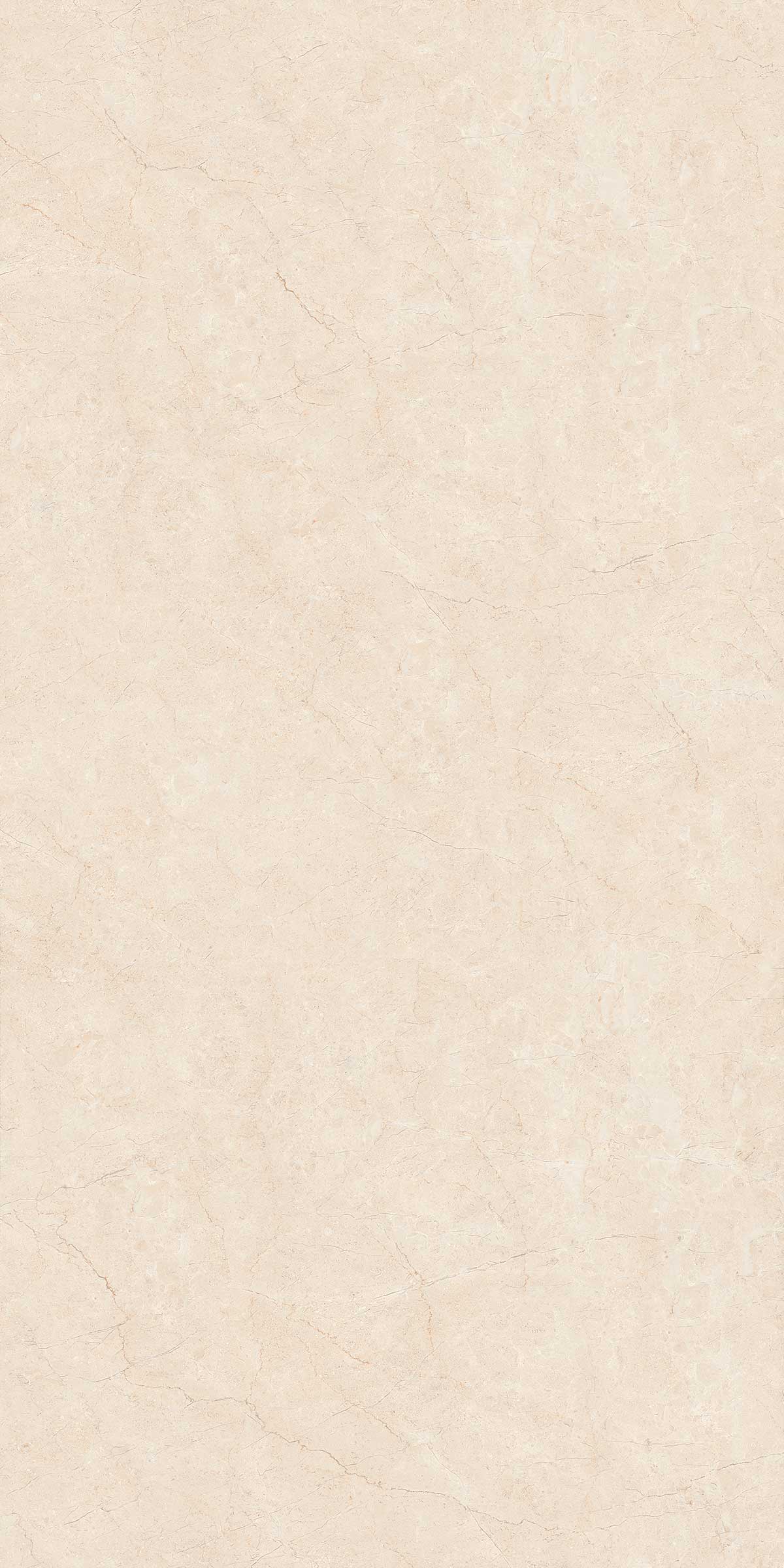 Antique Crema surface detail 1