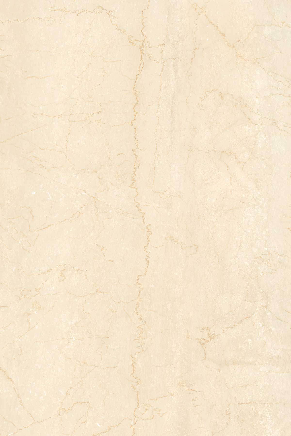 Bottochino Premia surface detail 1