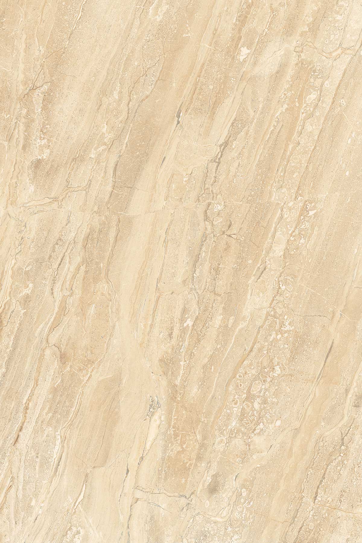 Dyna Classico surface detail 1