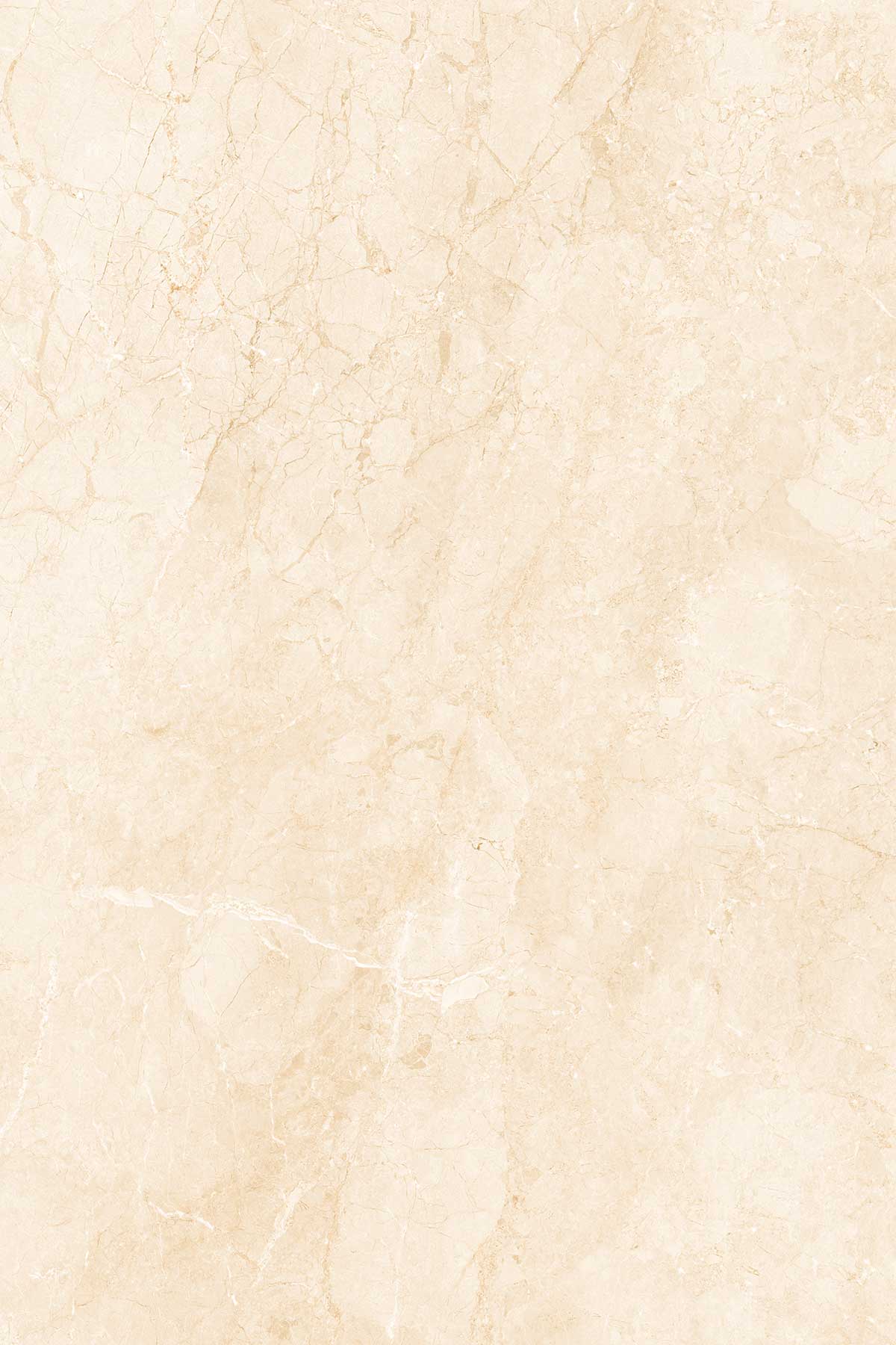 Elegant Beige surface detail 1