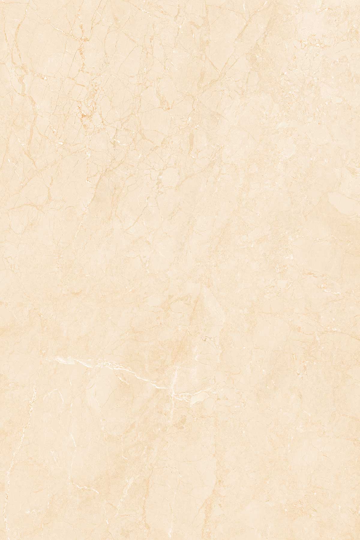 Elegant Beige surface detail 1