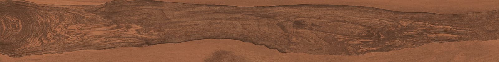 Forest Wood Amber surface detail 1
