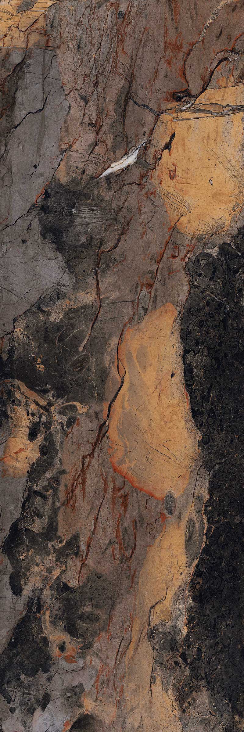 Fossil Brown surface detail 1
