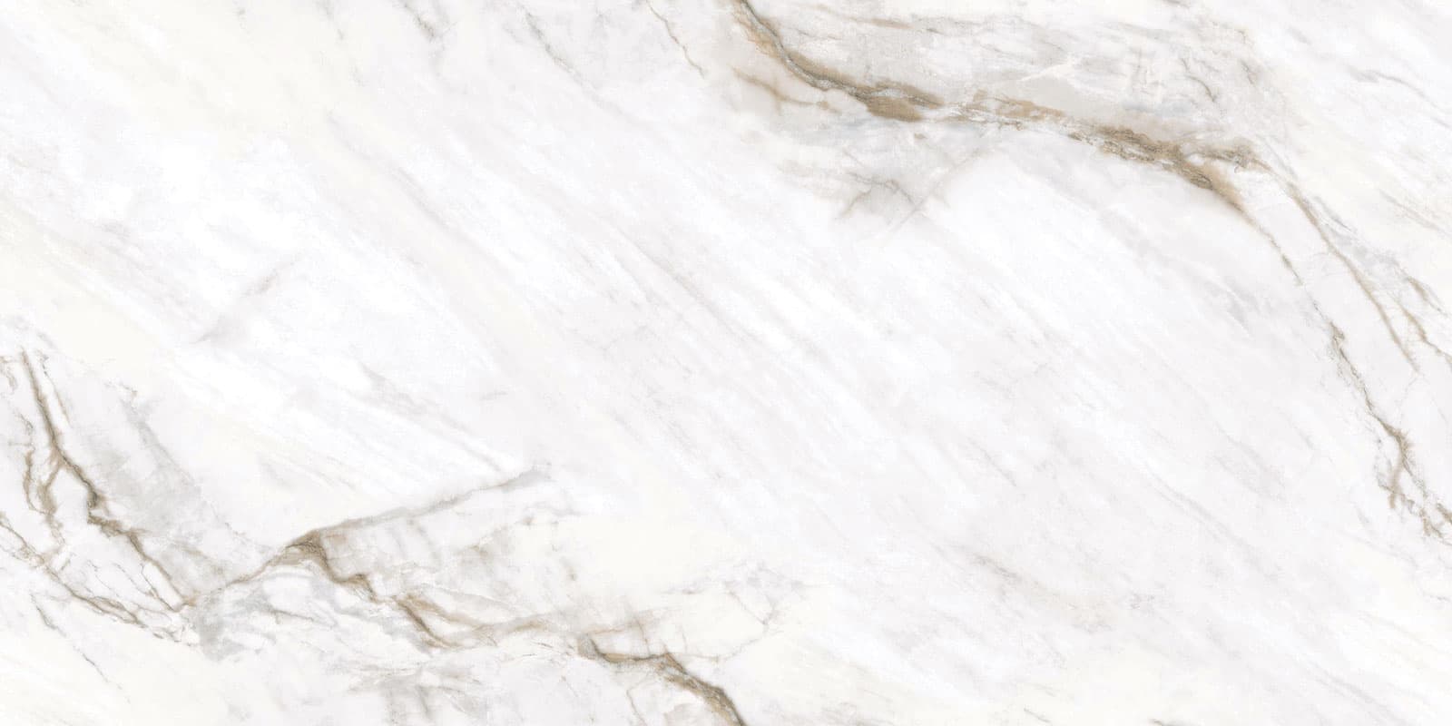 Michael Angelo surface detail 1