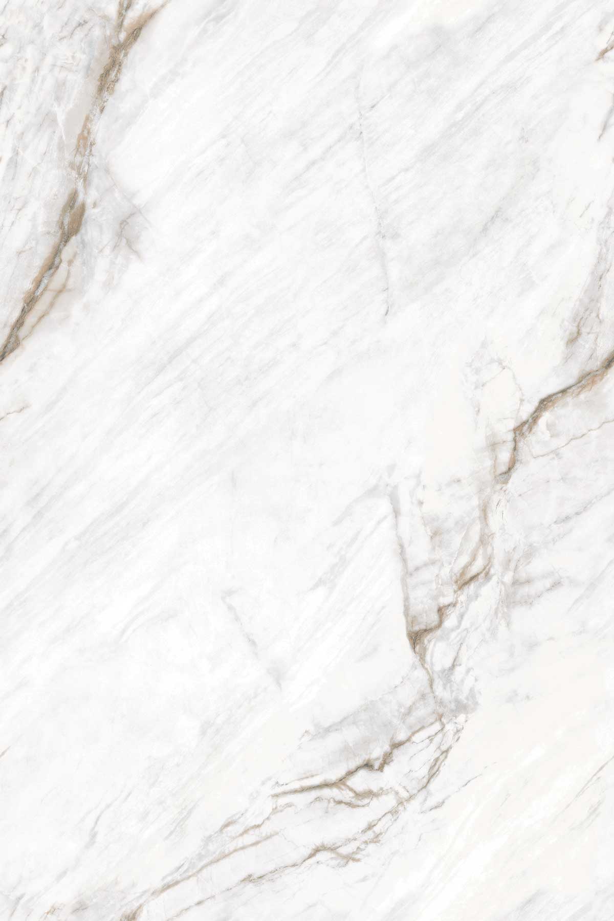 Michael Angelo surface detail 1