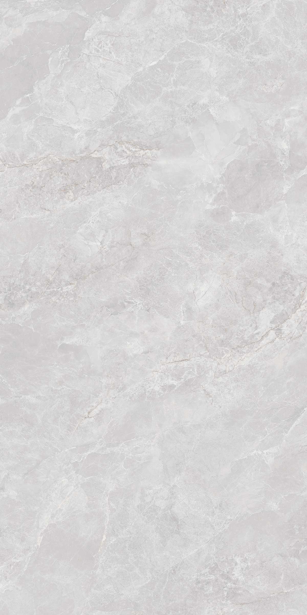 Vega Silver surface detail 1