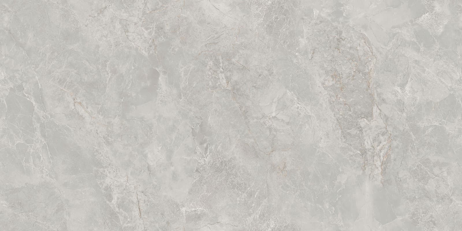 Vega Silver surface detail 1