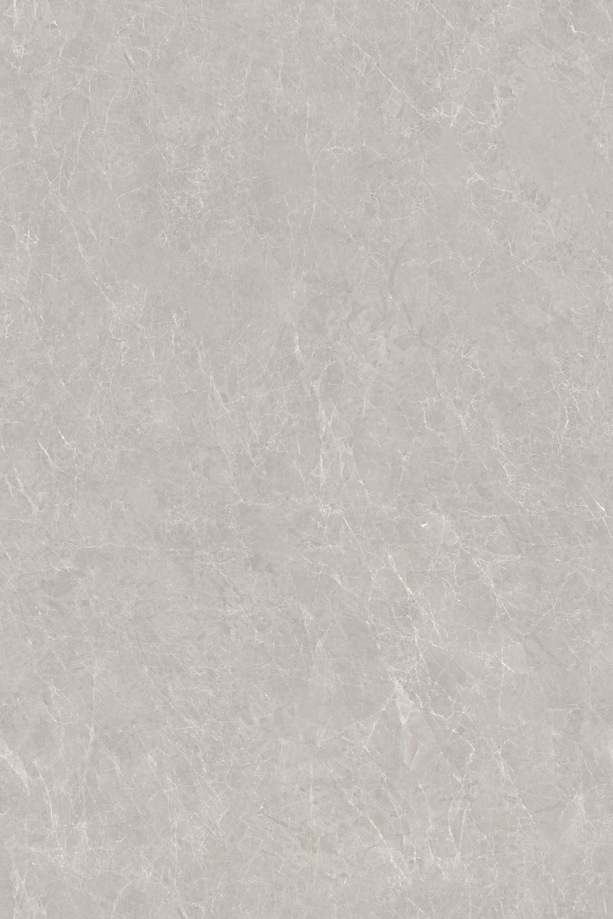 Venzo Grey surface detail 1