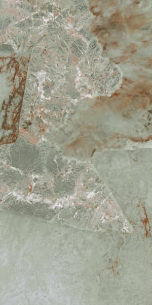 Amazzonia Mantis surface detail 1