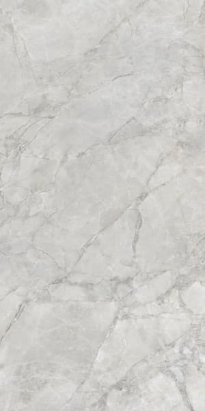 Codiac Delva surface detail 1