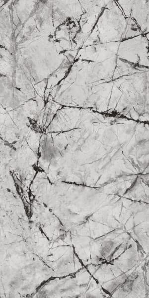 Copa Spider surface detail 1