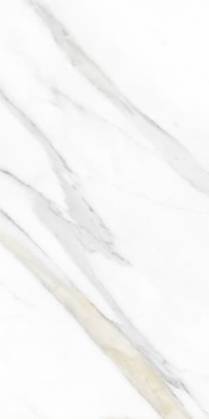 Euro Dove surface detail 1